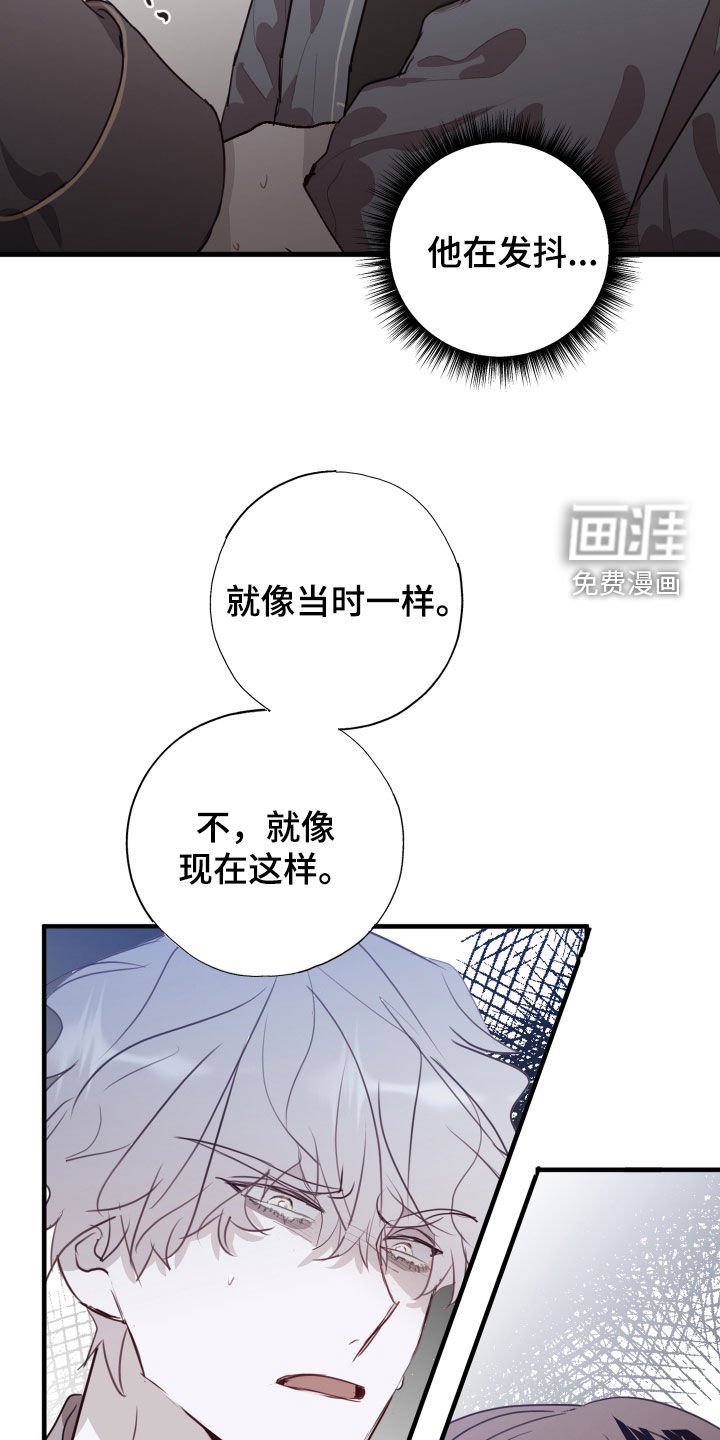 第40章：我愿意相信你