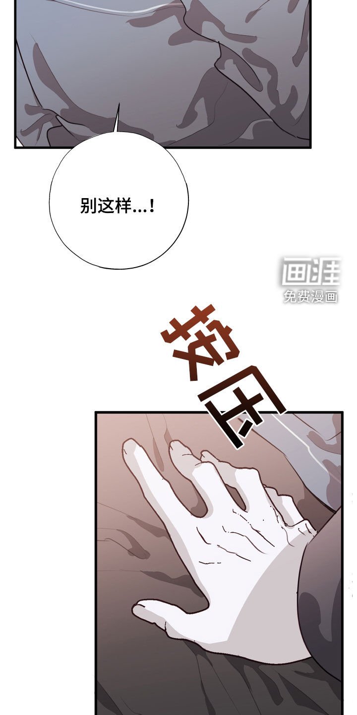 第40章：我愿意相信你