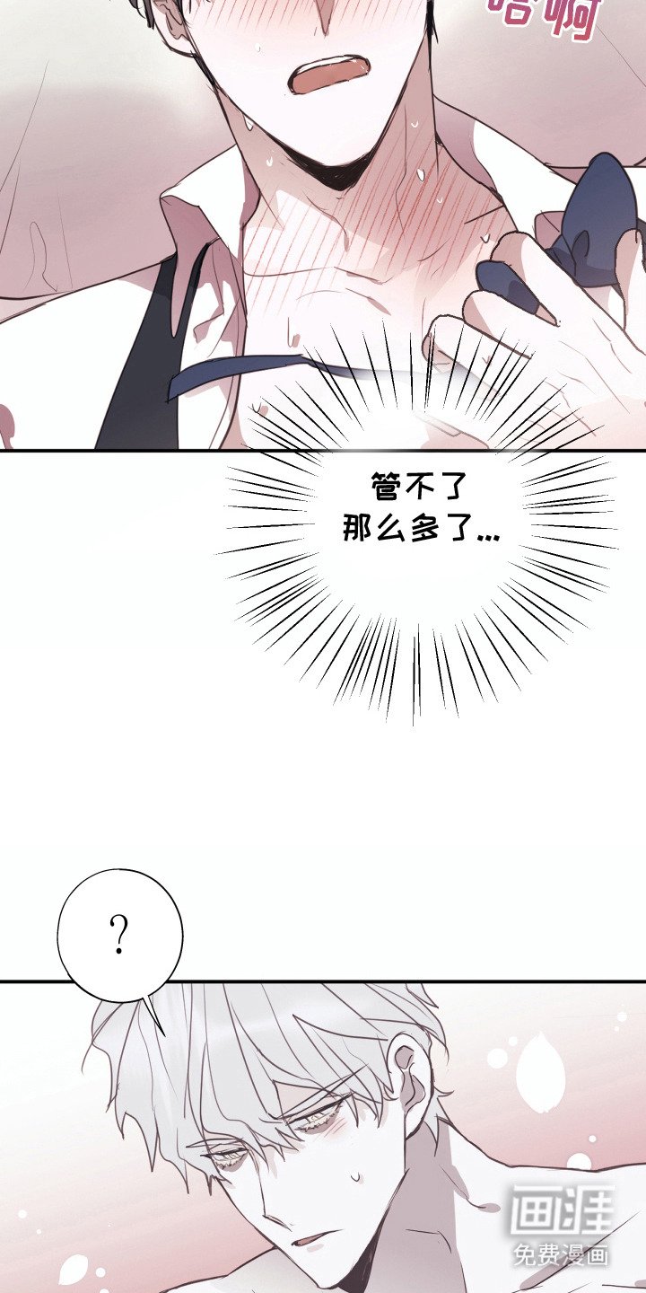 第5章：铭牌