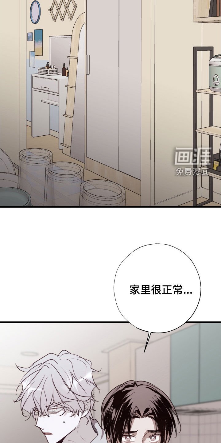 第52章：不见了