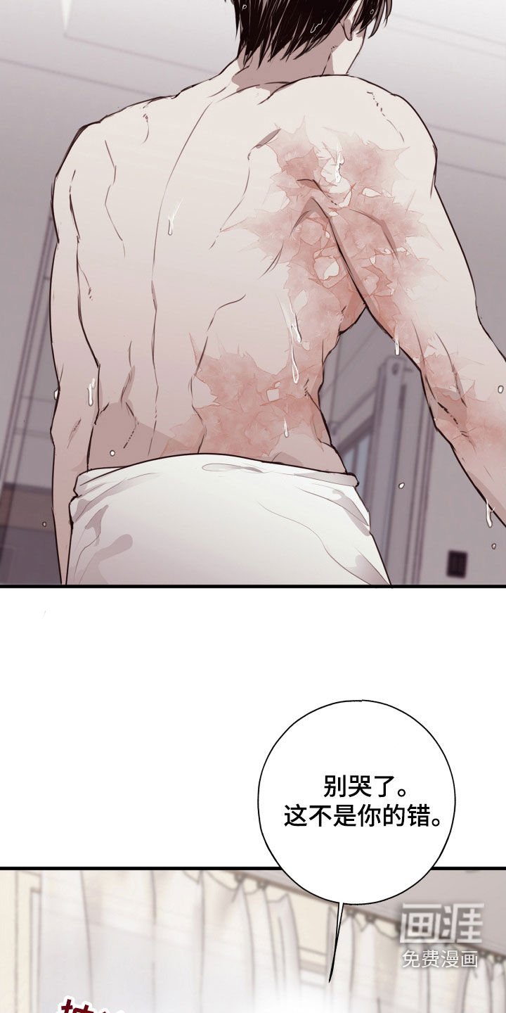 第53章：转机