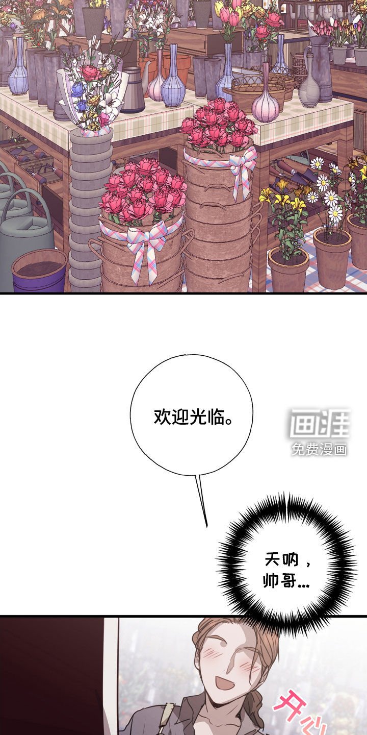 第53章：转机
