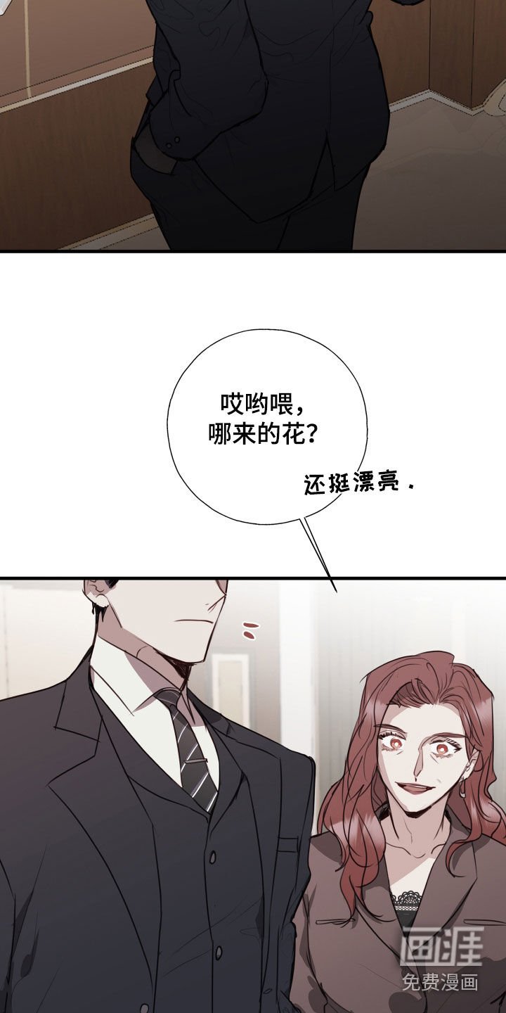第54章：竞选