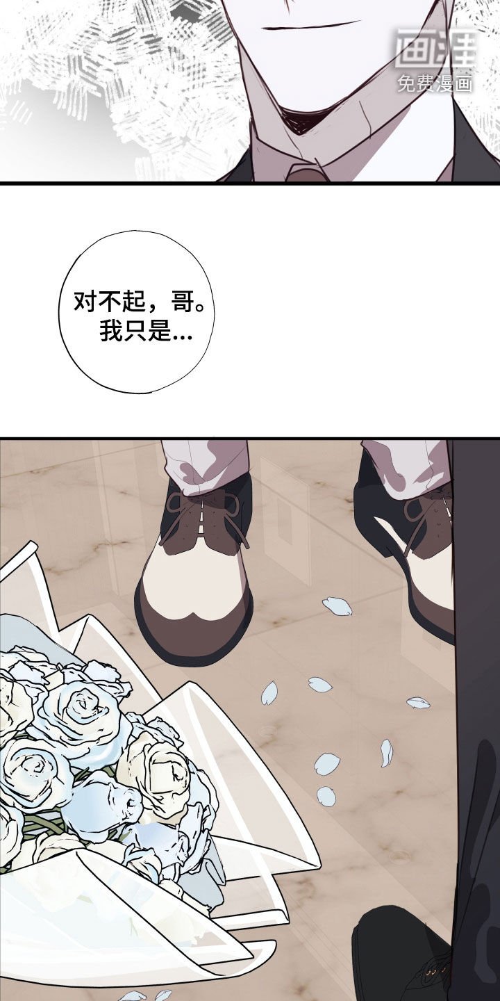 第57章：被爱着（第一季完结）