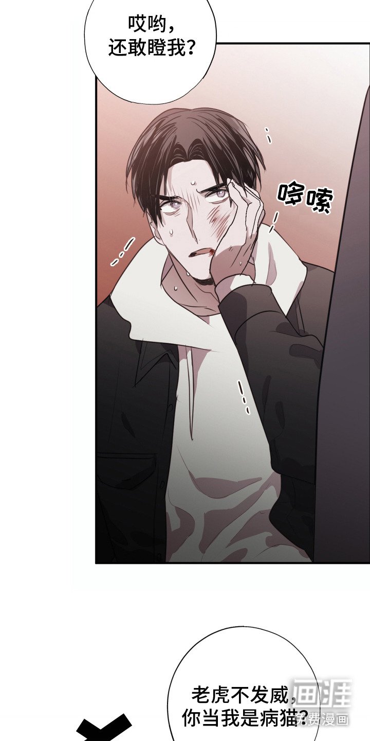 第6章：威胁