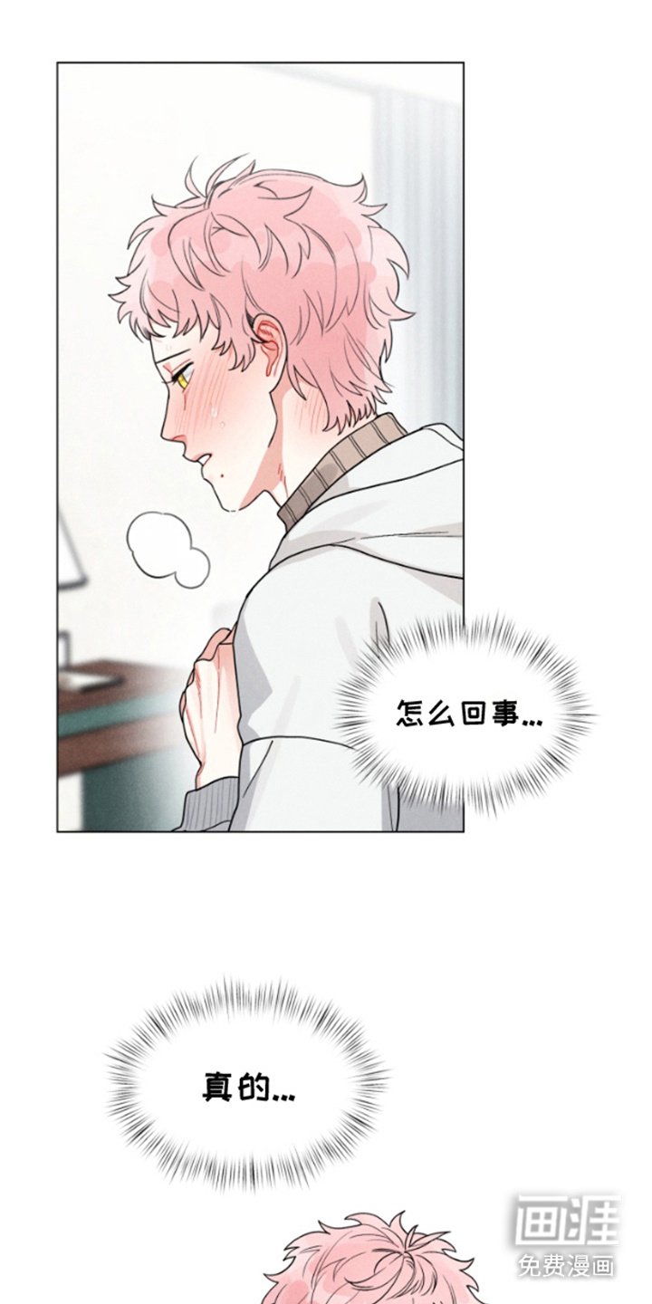 第2章：喜欢的类型