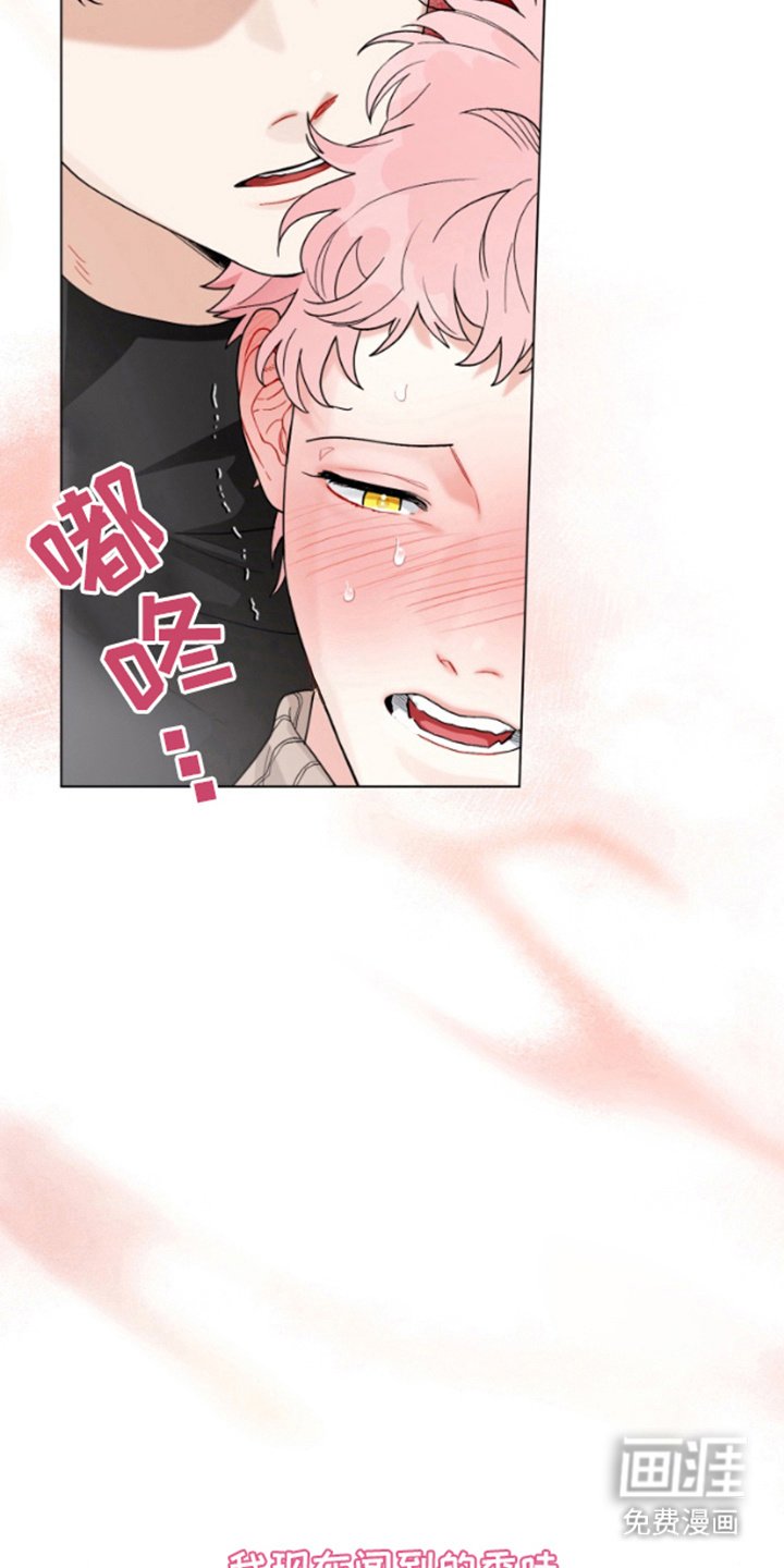 第3章：香味