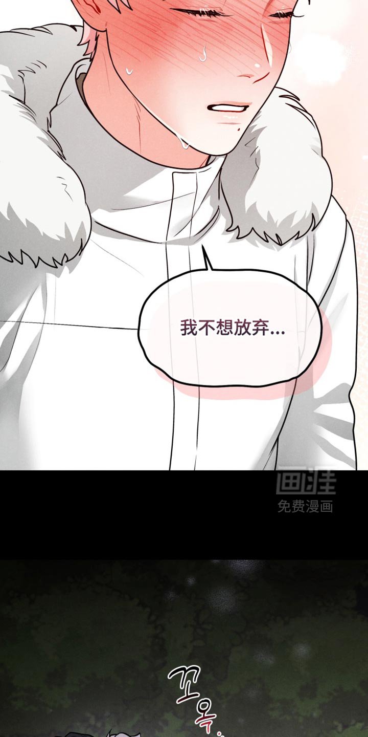 第46章：【番外】双胞胎