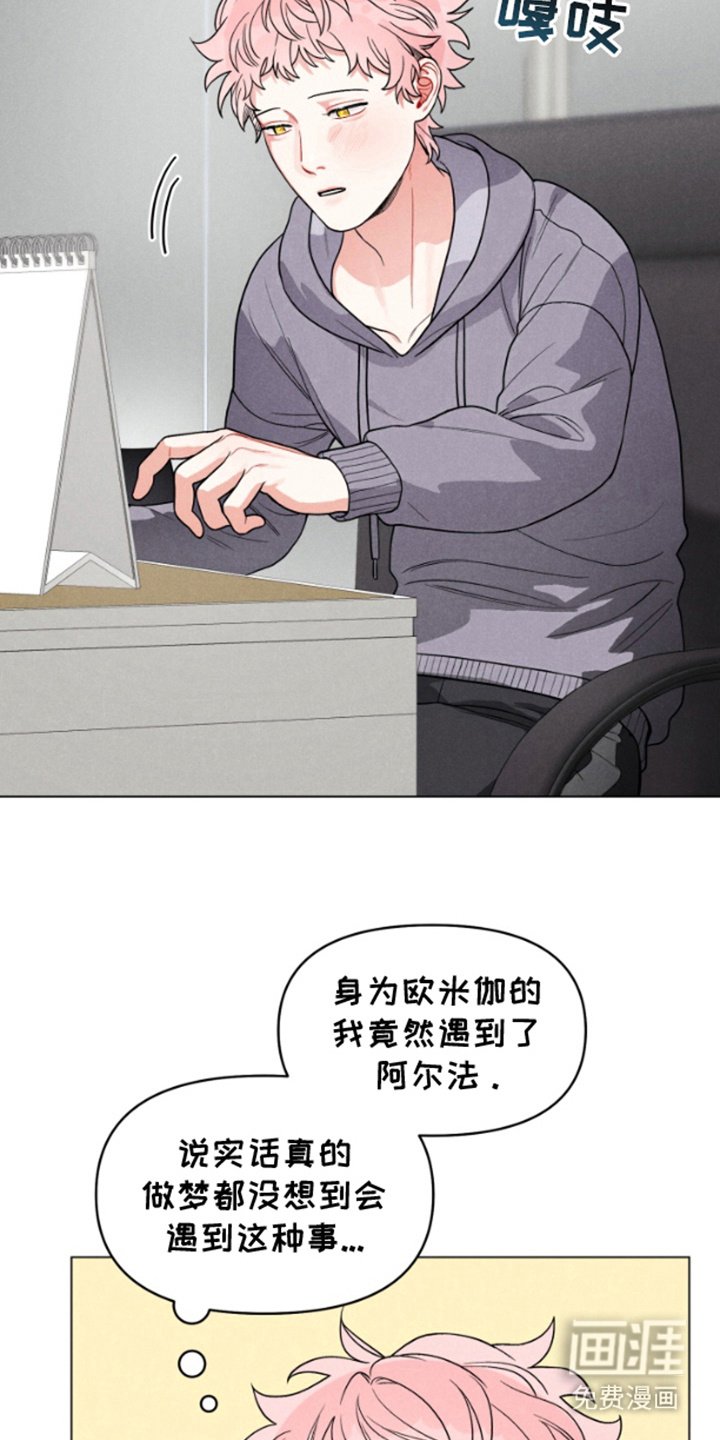 第6章：纠结