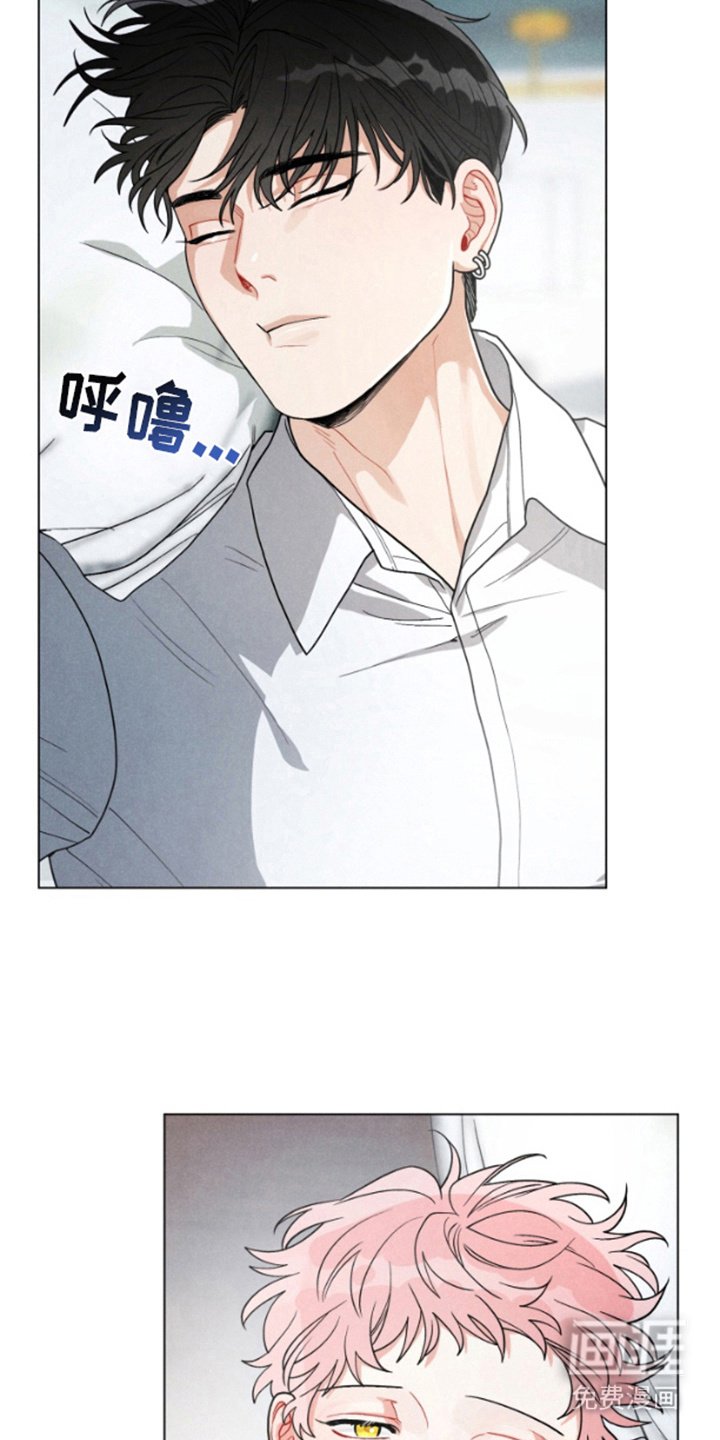 第7章：再次选择