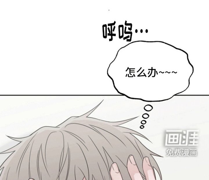 第3章：回报