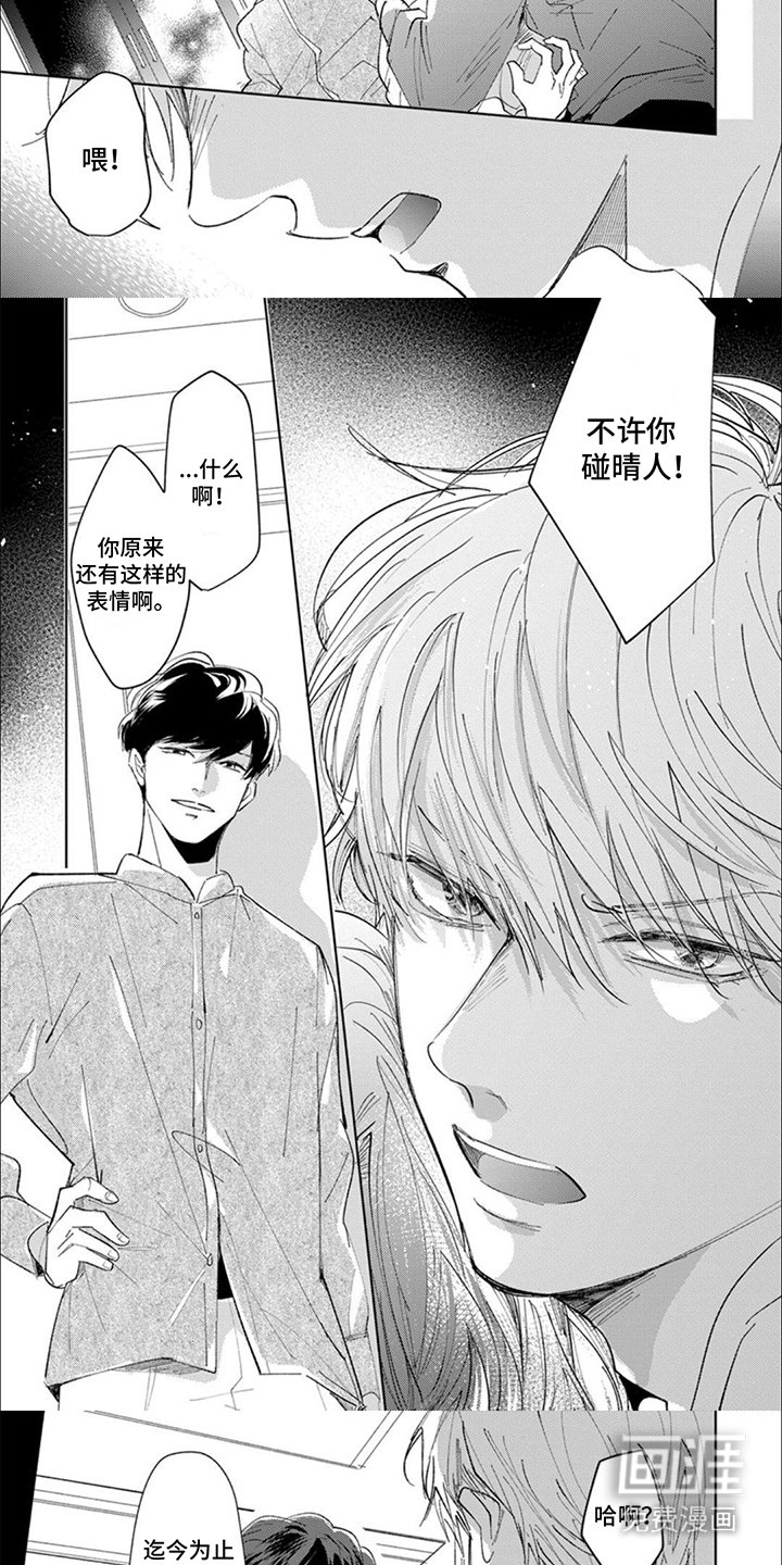 第13章：宣言