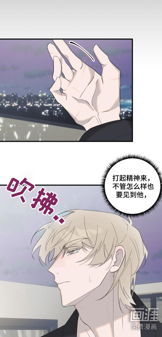 第15章：有什么意图