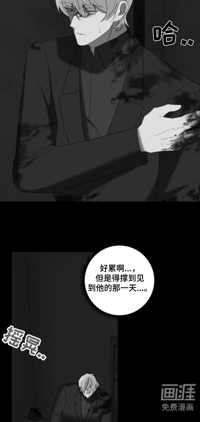 第17章：我笑了