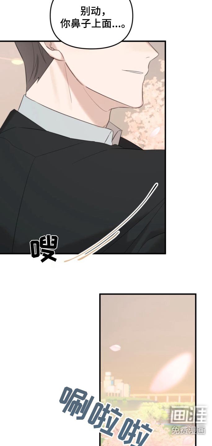 第26章：抓拍