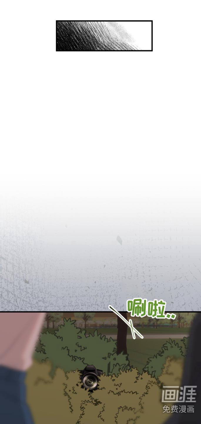 第26章：抓拍