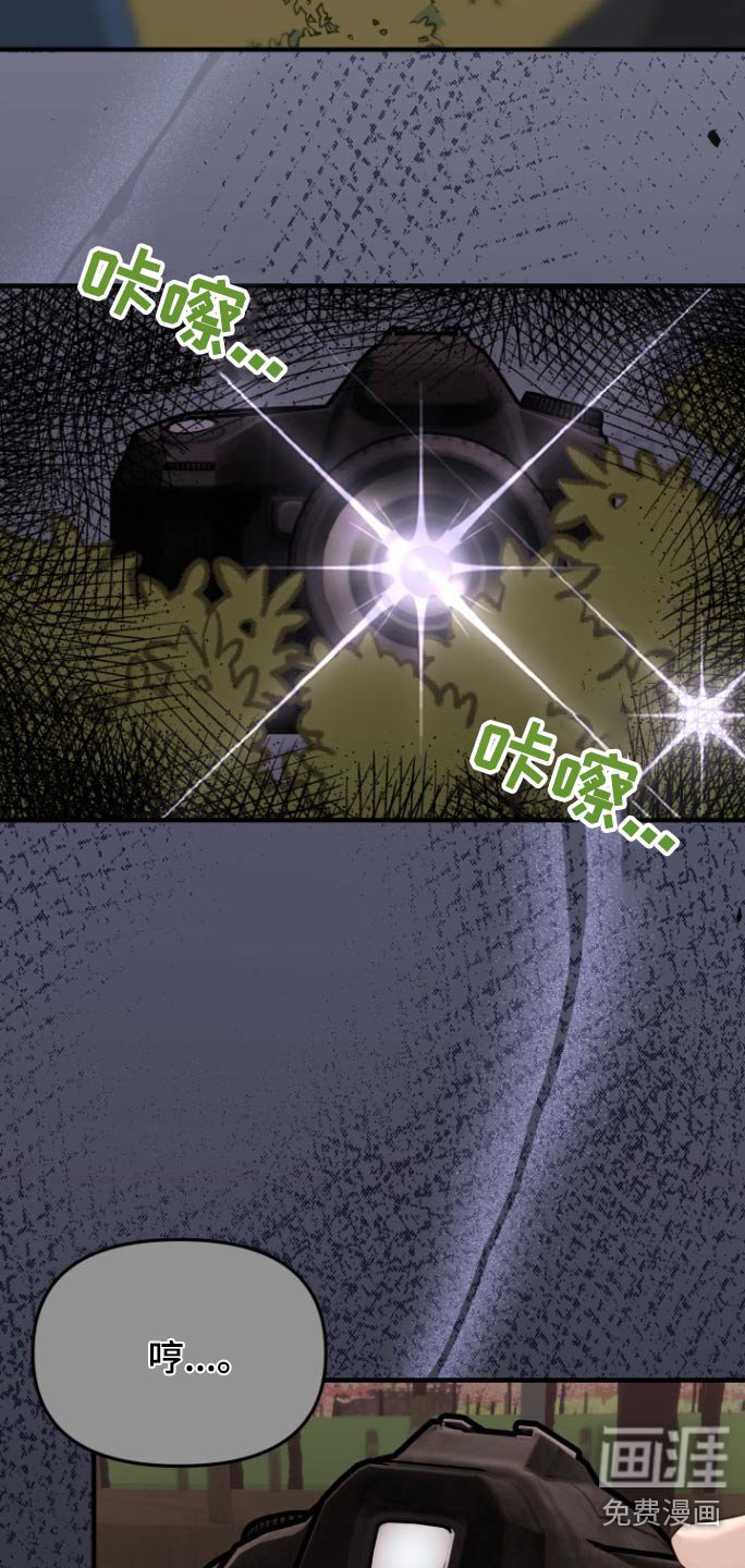 第26章：抓拍