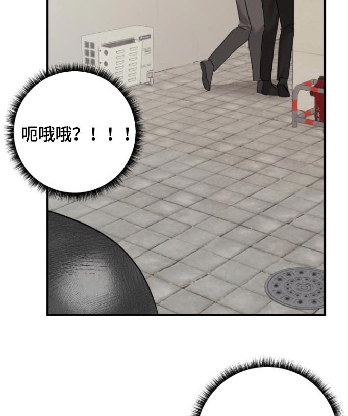 第40章：你怎么在这