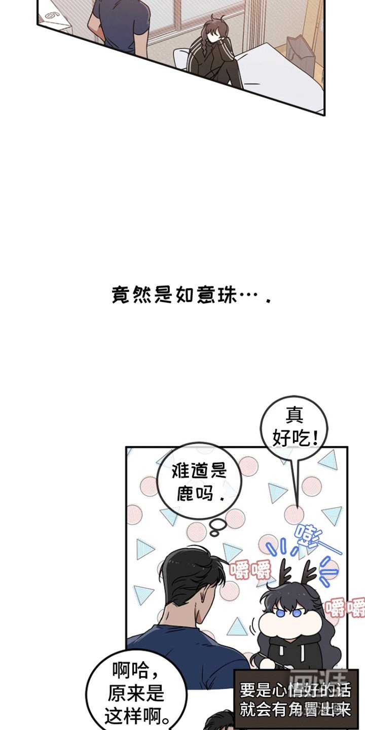 第4章：神的正确使用方法