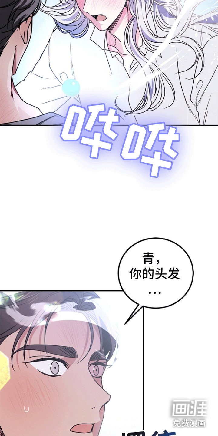 第7章：吸收了