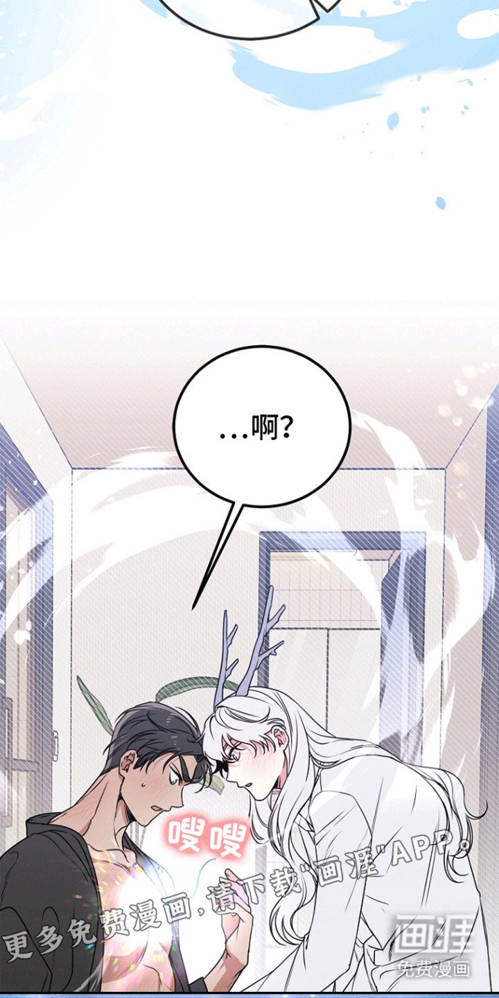 第7章：吸收了