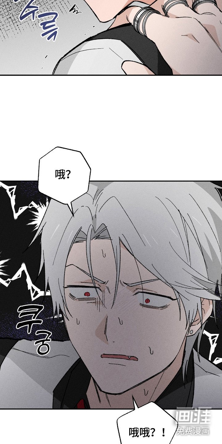 第13章：脸色很差