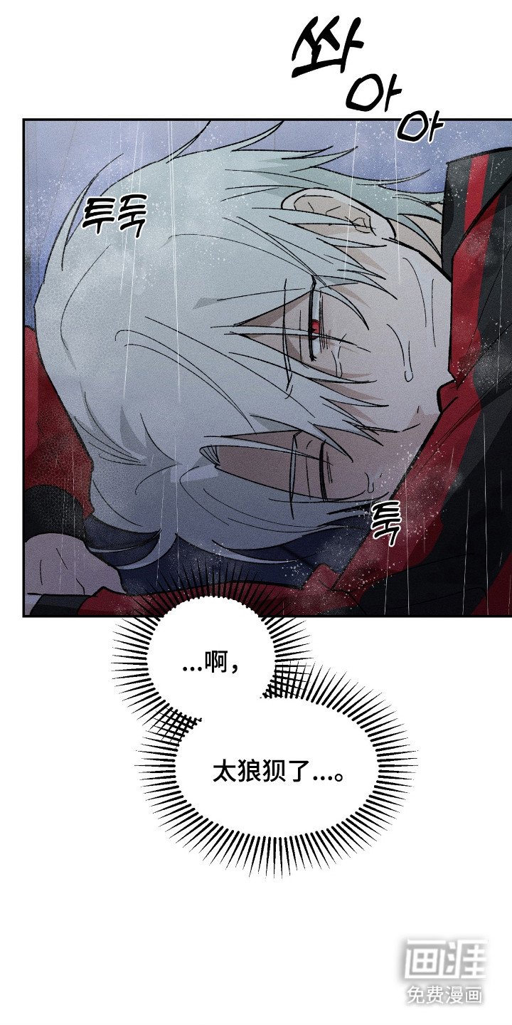 第14章：解释