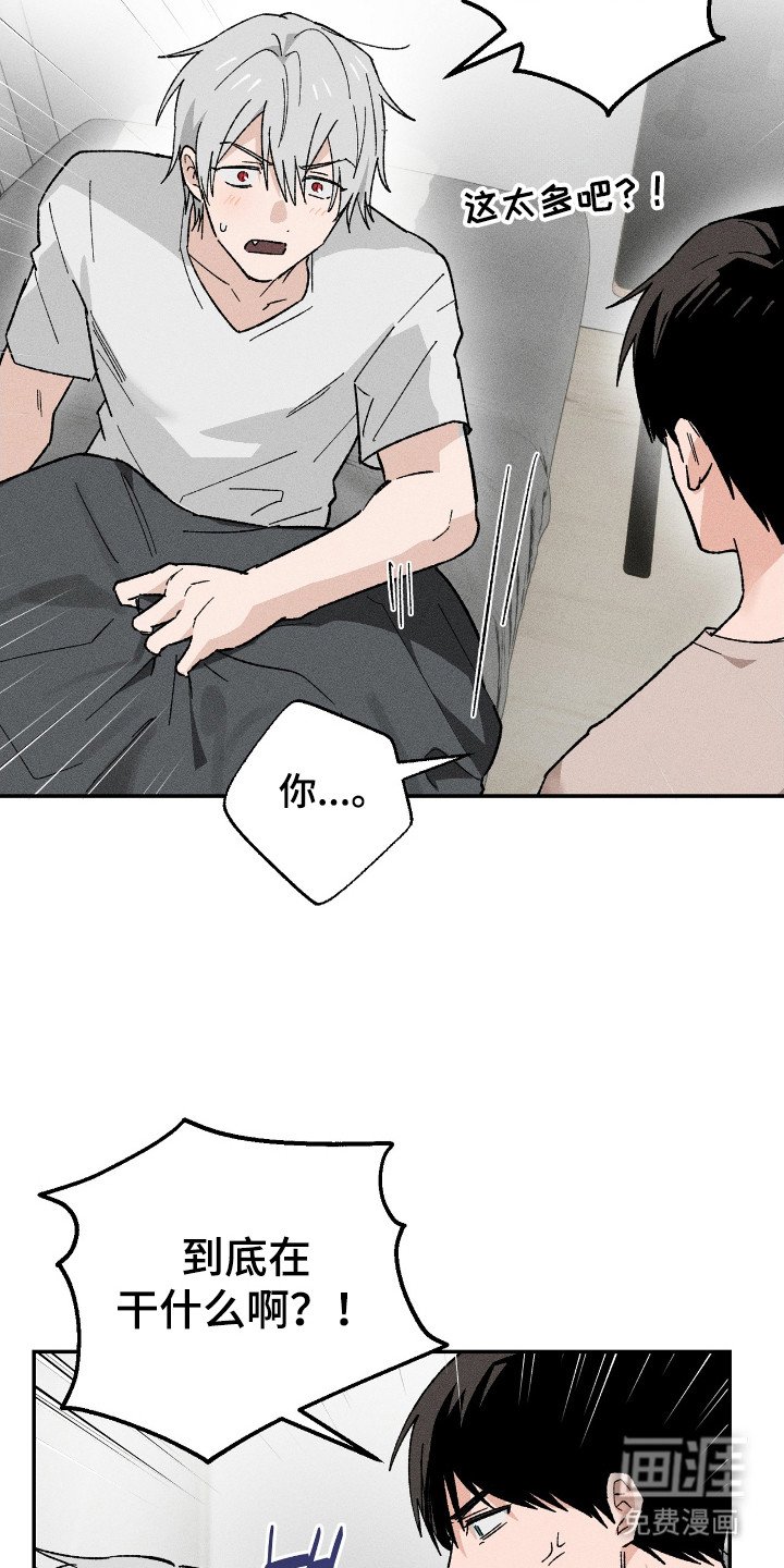 第14章：解释
