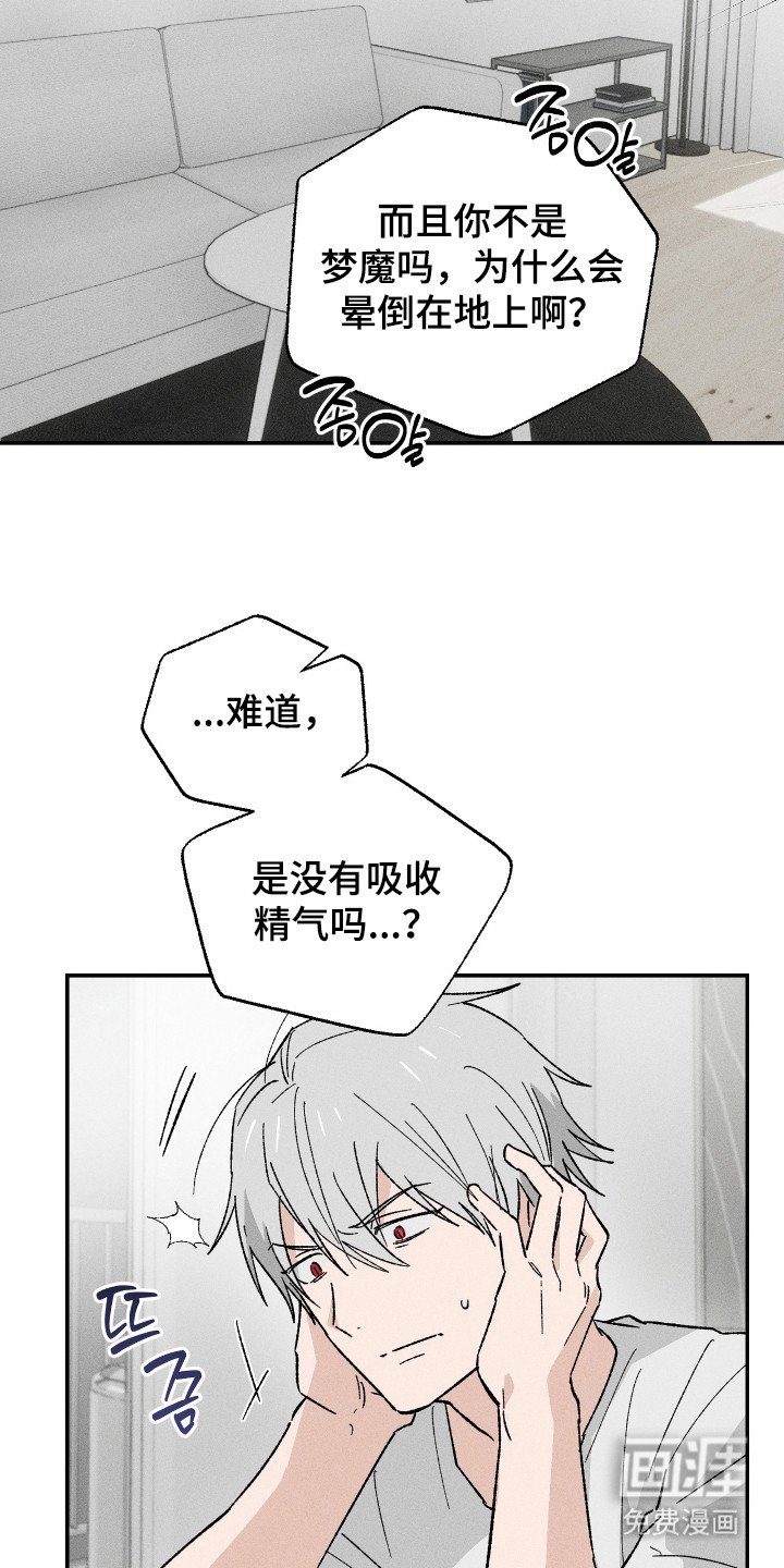 第14章：解释