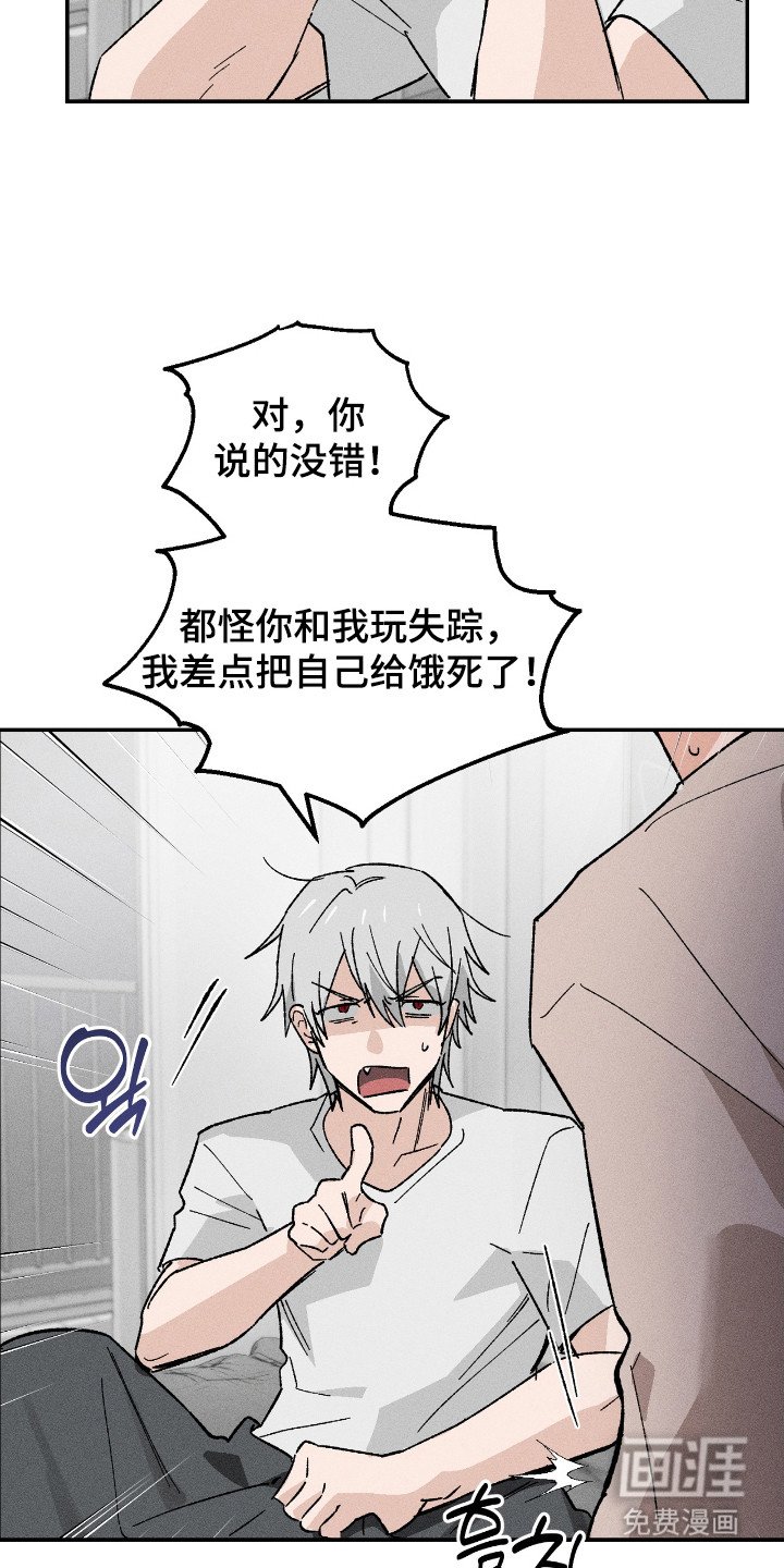 第14章：解释