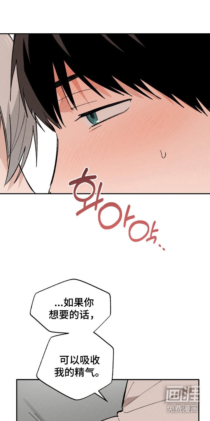 第15章： 真心