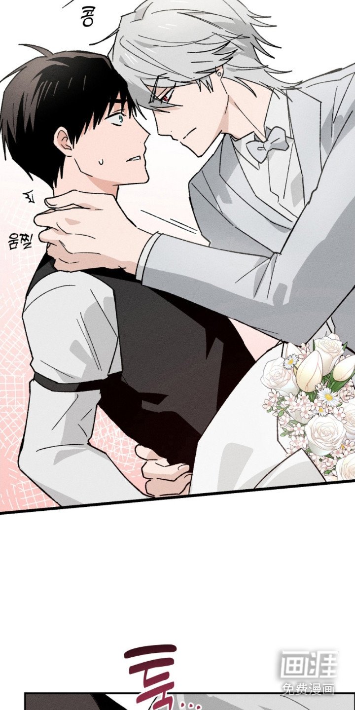 第18章：求婚（完结）