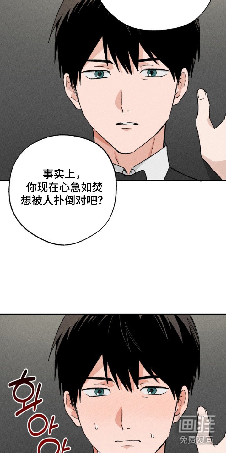 第4章：赌上名誉