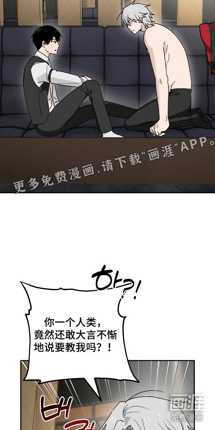 第6章：做示范
