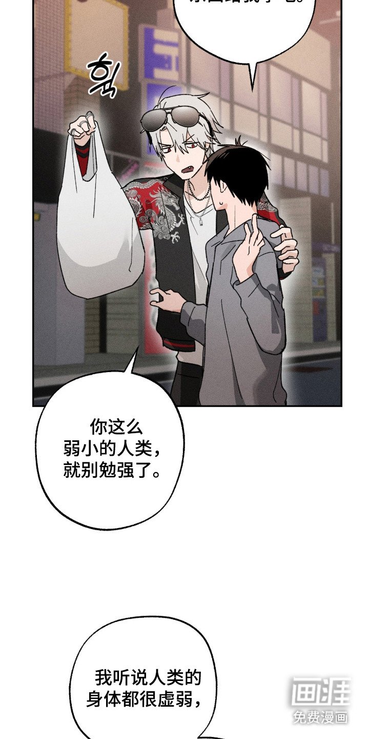 第8章：无视