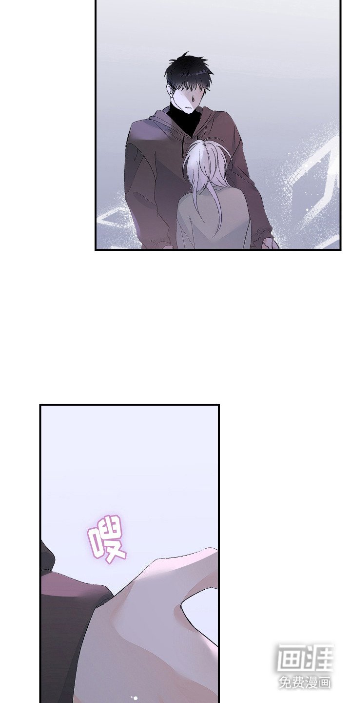 第12章：不会忘记
