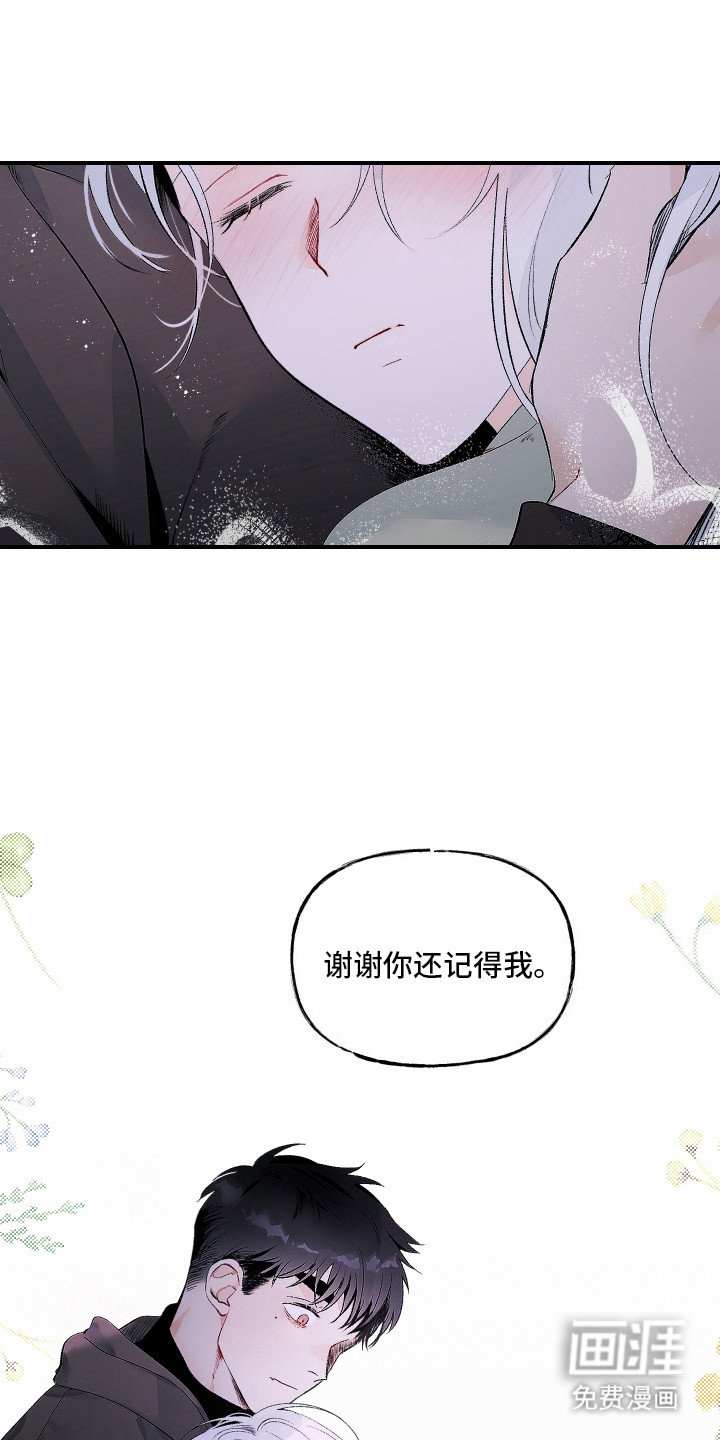 第12章：不会忘记