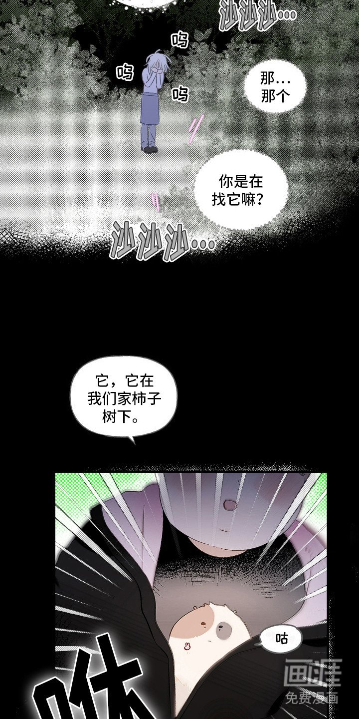 第6章：想起来了
