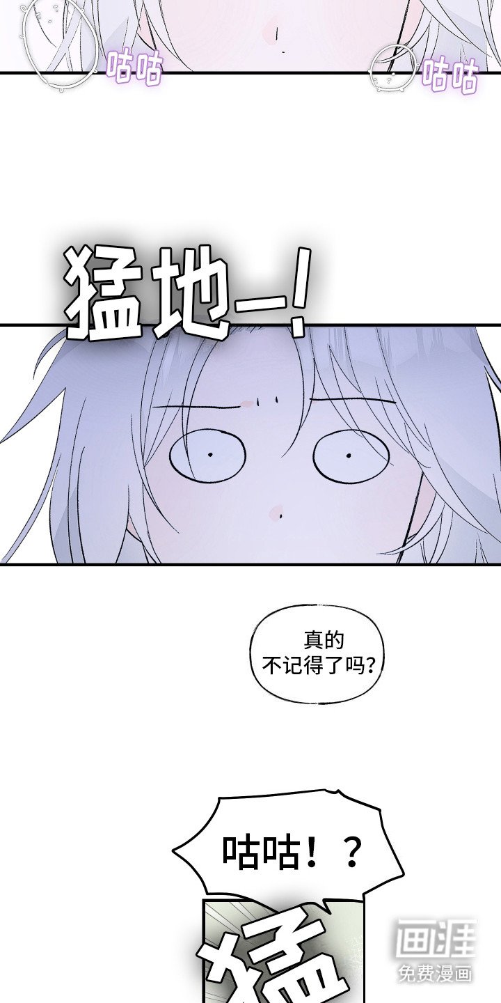 第6章：想起来了