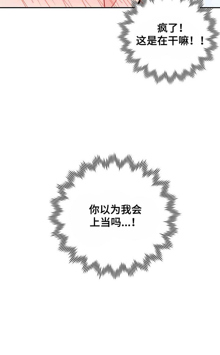 第13章：你以为我会上当吗