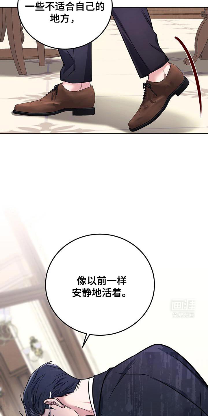 第14章：错觉