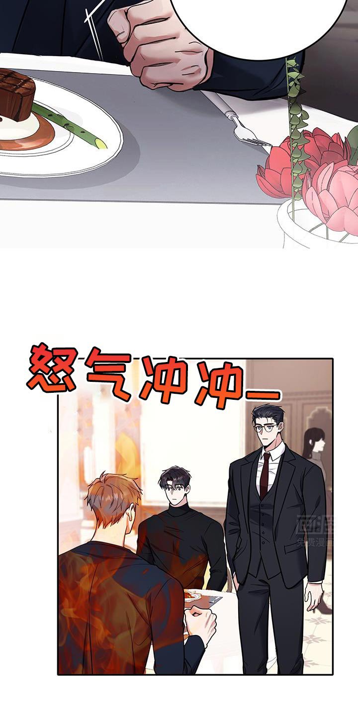 第14章：错觉