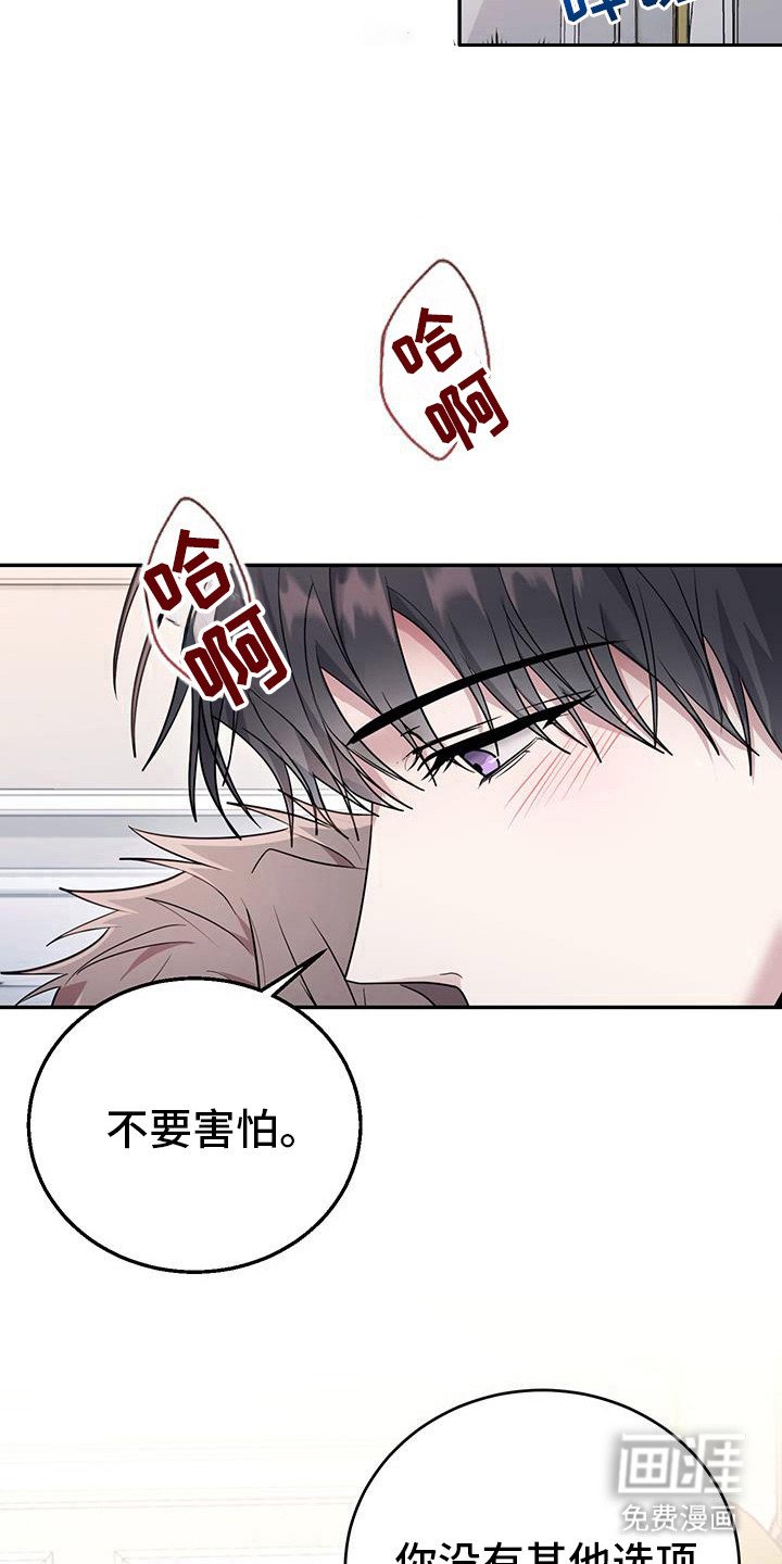 第28章：献祭