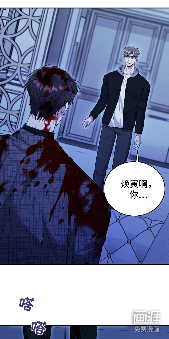 第41章：现在是现实