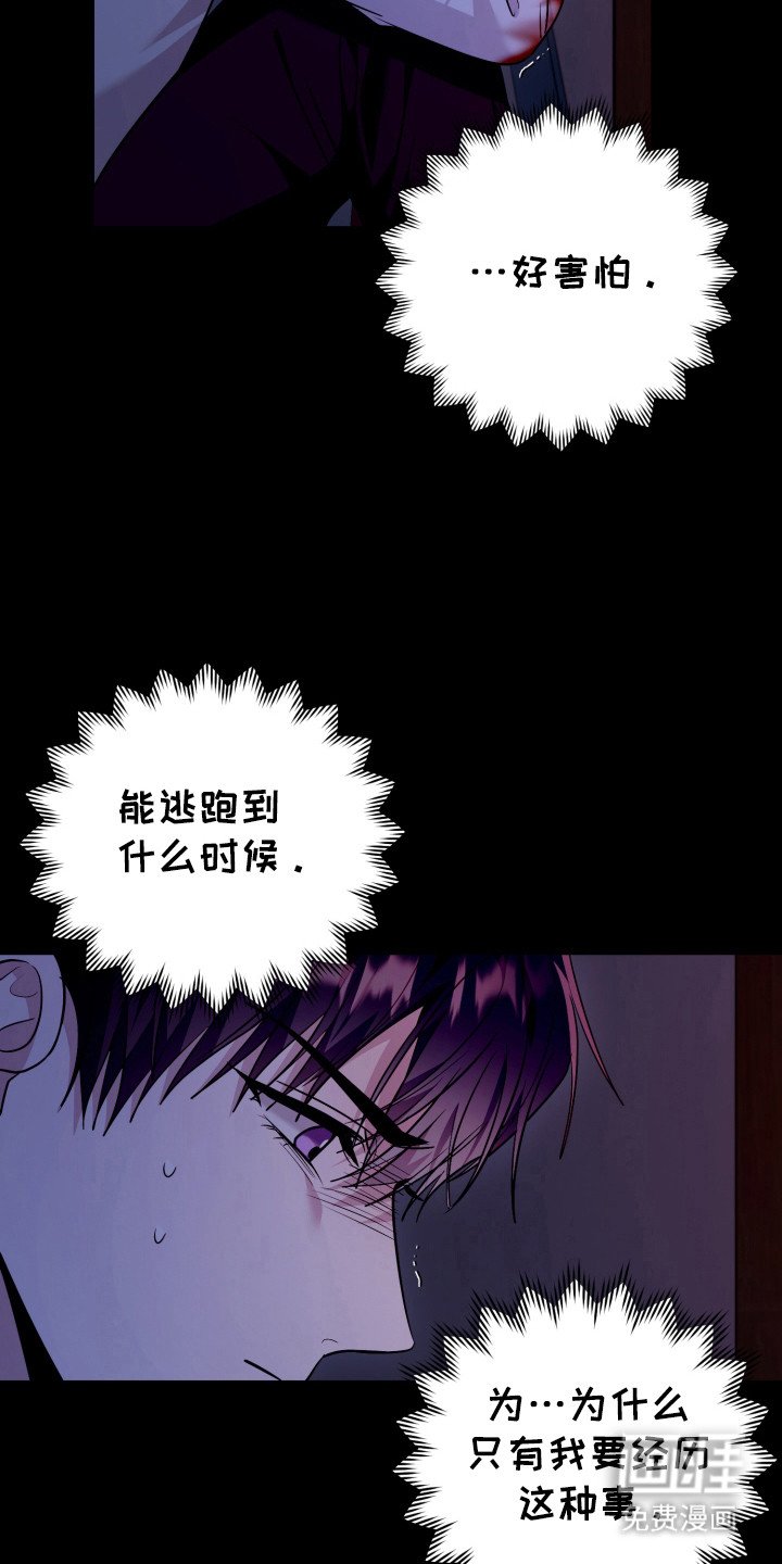第41章：现在是现实