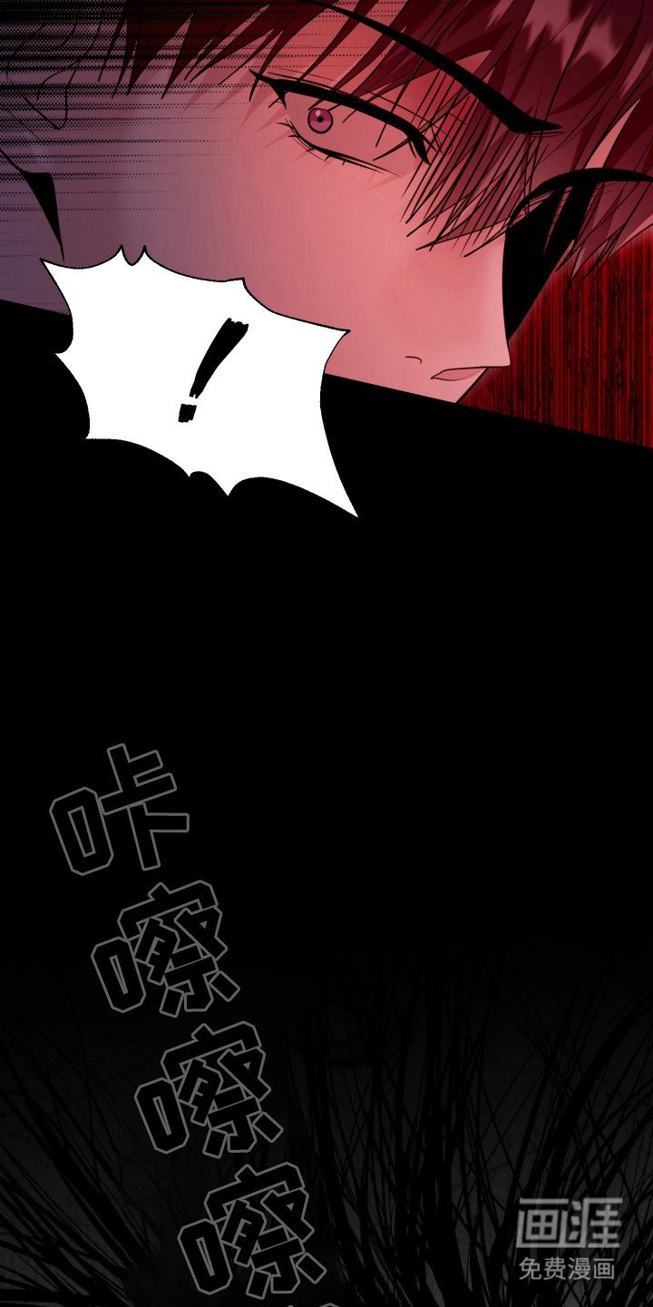 第41章：现在是现实