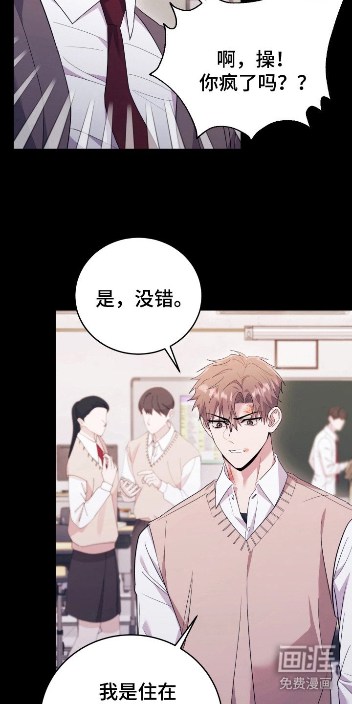 第44章：人以群分