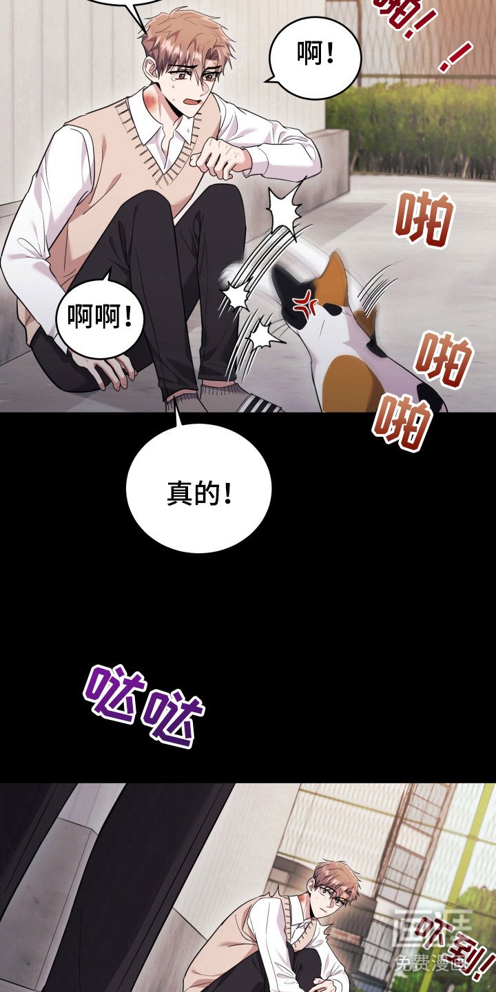 第44章：人以群分