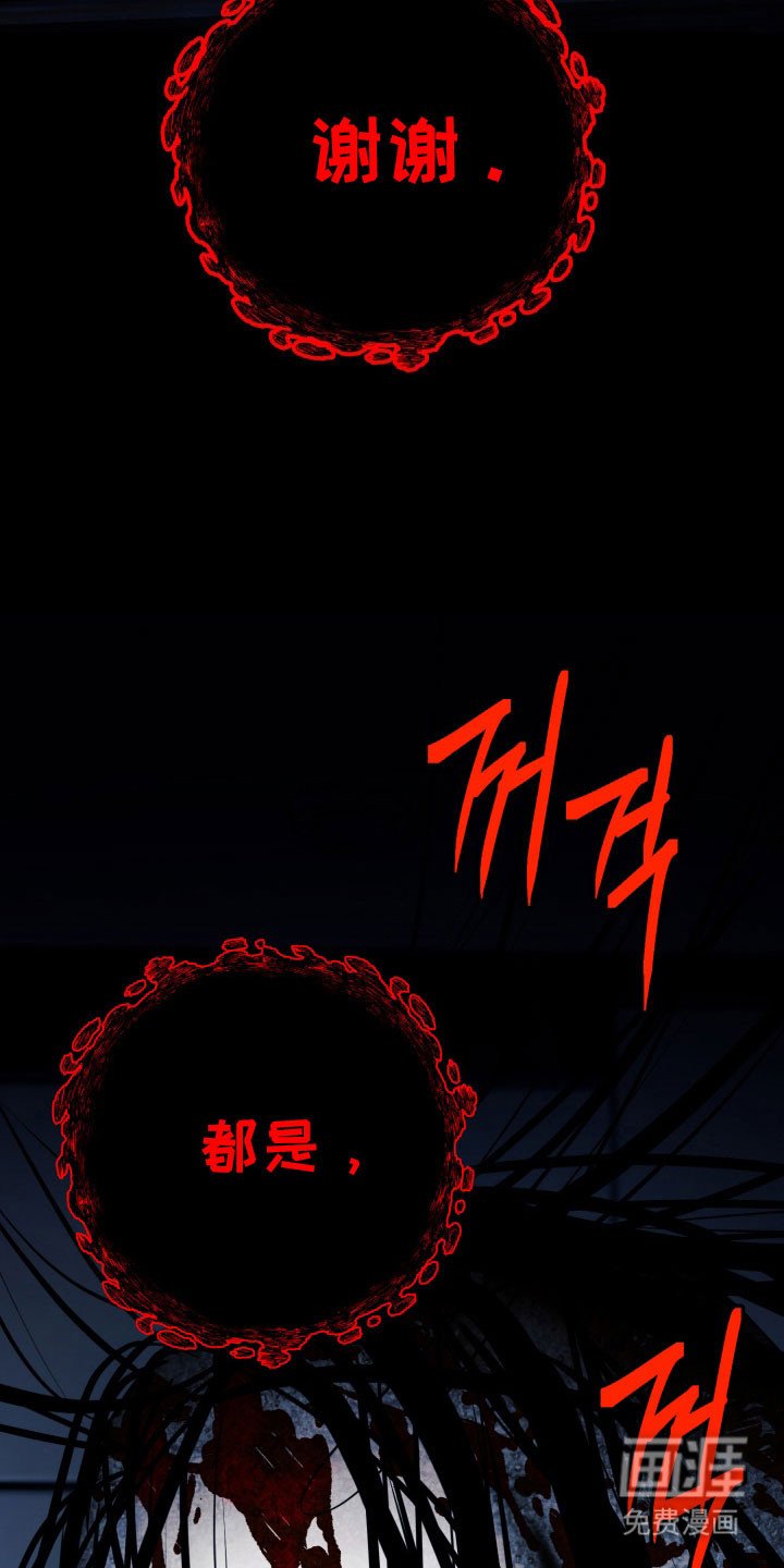 第62章：【番外】是自杀