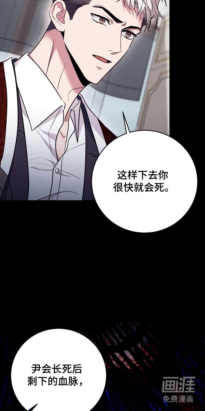 第62章：【番外】是自杀